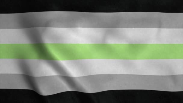 Гендерный флаг размахивает на ветру. 4K — стоковое видео