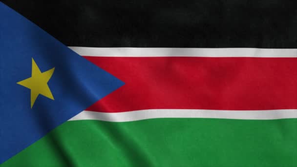 South Sudan flag waving in the wind. Seamless loop with highly detailed fabric texture — Stock Video