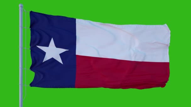 Drapeau de l'État du Texas agitant le vent sur fond d'écran vert — Video
