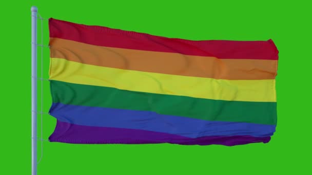 LGBT flag waving in the wind. Green screen background — Stock Video