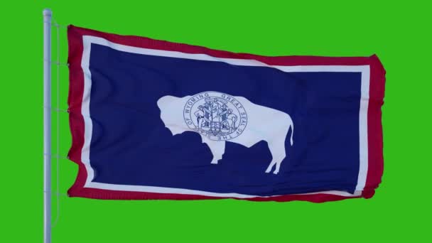 Bandeira do estado de Wyoming acenando no vento contra fundo tela verde — Vídeo de Stock