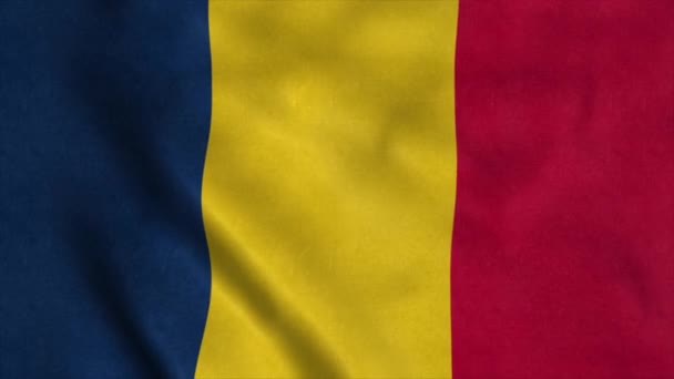 Bandera Chad ondeando en el viento con textura de tela muy detallada. Lazo sin costura, 4K — Vídeos de Stock