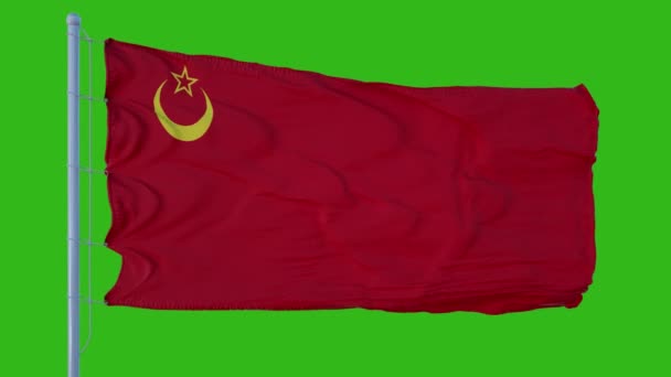 Union Of Islamic Soviet Republics Zászló integetett a szél ellen zöld képernyő háttér — Stock videók