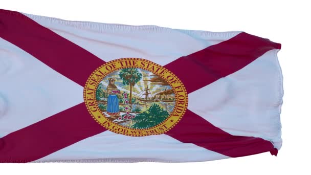 Florida Flag Izolált Realisztikus Animáció. Zökkenőmentes hurok, 4K — Stock videók