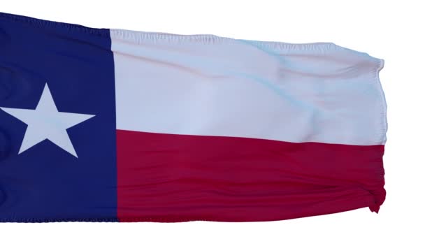 Texas Flag Isolated Realistic Animation. Boucle sans couture, 4K — Video