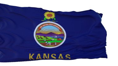 Kansas bayrağı beyaz arka planda izole edilmiş. 3d illüstrasyon