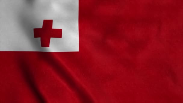 Tonga-Flagge weht im Wind. Nationalflagge Königreich Tonga — Stockvideo