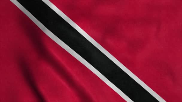 Государственный флаг Тринидада и Тобаго - анимация флага Тринидада и Тобаго длиной 4К — стоковое видео