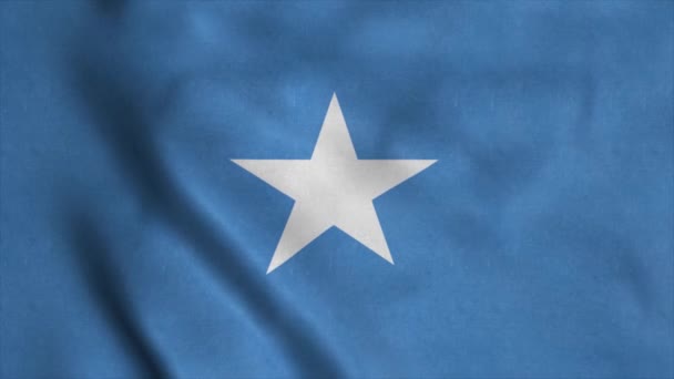 Національний прапор Сомалі (англ. Somalia National Flag) - екранізація прапора Сомалі, 4K. Дуже детальний реалістичний 3D рендеринг — стокове відео