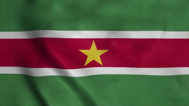 Bandera Nacional de Surinam - Animación de bucle sin costura 4K de la bandera de Surinam. Renderizado 3D realista muy detallado — Vídeos de Stock