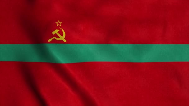 Bandeira da República da Moldávia Pridnestroviana acenando ao vento. Sinal de Transnístria animação loop sem costura. 4K — Vídeo de Stock