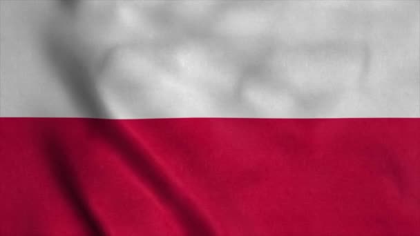 Flaga Polski machająca na wietrze o wysokiej jakości fakturze w rozdzielczości 4K — Wideo stockowe