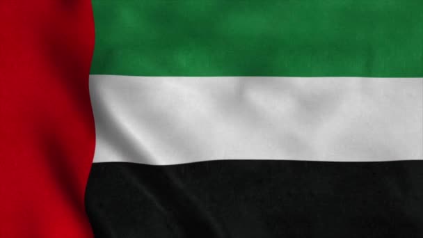 La bandiera nazionale degli Emirati Arabi Uniti sventola animazione - 4K — Video Stock
