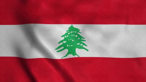 Lübnan 'ın ulusal bayrağı rüzgarda dalgalanıyor. 4K — Stok video