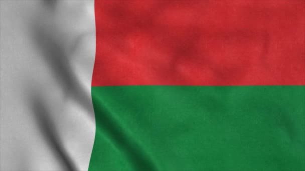 A bandeira nacional de Madagáscar está voando ao vento. 4K — Vídeo de Stock