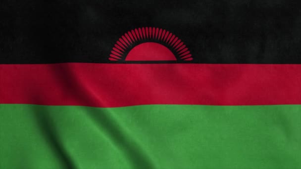 La bandera nacional de Malawi ondea en el viento. 4K — Vídeo de stock