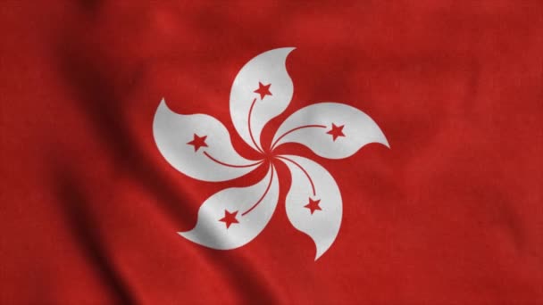 La bandera nacional de Hong Kong ondea al viento — Vídeos de Stock