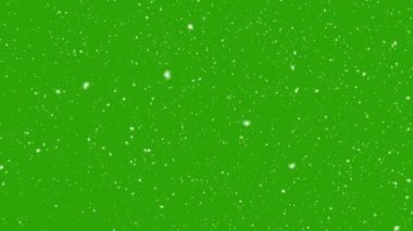 Yeşil ekran arka planında kar yağışı. 4K