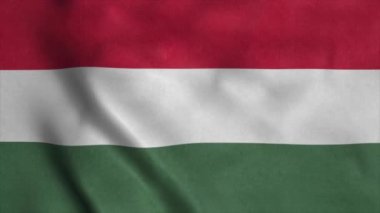 Rüzgarda sallanan Macaristan bayrağı. Macaristan Ulusal Bayrağı