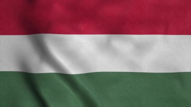 Bandeira da Hungria acenando ao vento. Bandeira nacional de Hungary — Vídeo de Stock