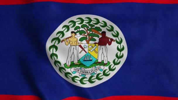 Belize vlag zwaaiend in de wind. Belize naadloze lus animatie. 4K — Stockvideo