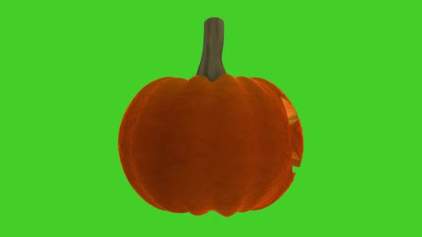 Halloween Funny Pumpkin przędzenia na zielonym tle — Wideo stockowe