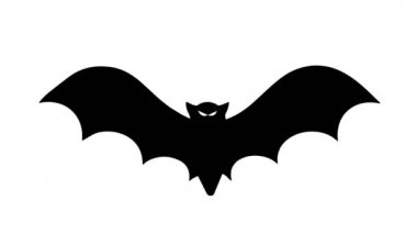 Beyaz arka planda uçan yarasa. Cadılar Bayramı geçmişi