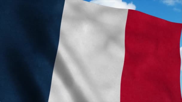 프랑스는 푸른 하늘 배경으로 바람에 흔들리는 깃발을 휘날리고 있다. 4K — 비디오