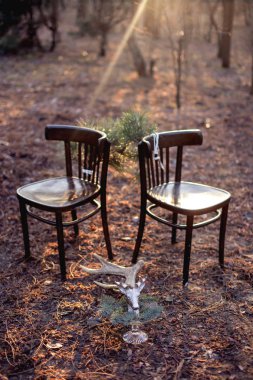 günbatımı romantik ışınları yere ormandaki iki sandalye