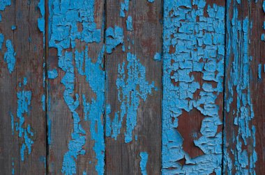 çite kazançlar boya