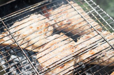 Ormanın içinde ızgarada kızartılmış et 