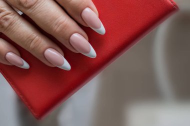 Beautiful manicure, women's hands, handbag clipart