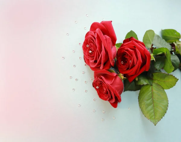 Rote Rosen Auf Blauem Hintergrund Für Postkarte — Stockfoto