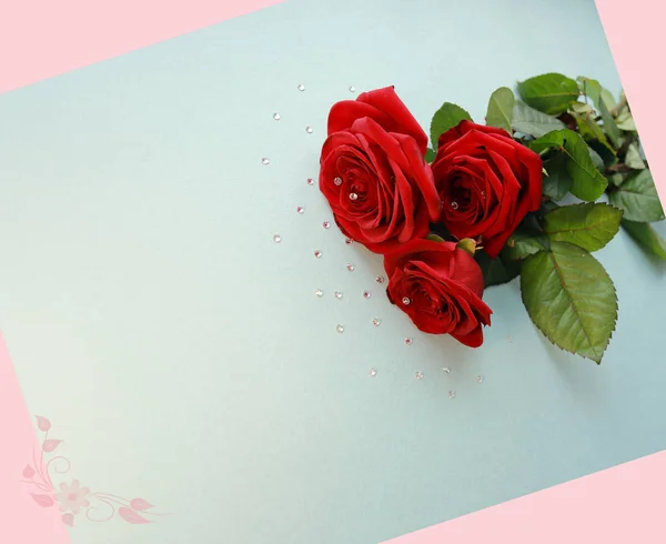 Red Roses Blue Background Postcard — Stock Photo, Image