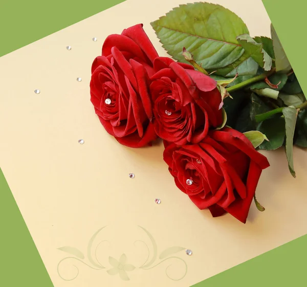Красные Розы Синем Фоне Открытки — стоковое фото