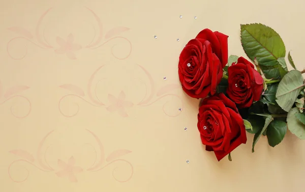 kartpostal için mavi arka plan üzerinde kırmızı gül