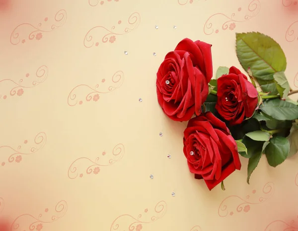 Red Roses Blue Background Postcard — Stock Photo, Image