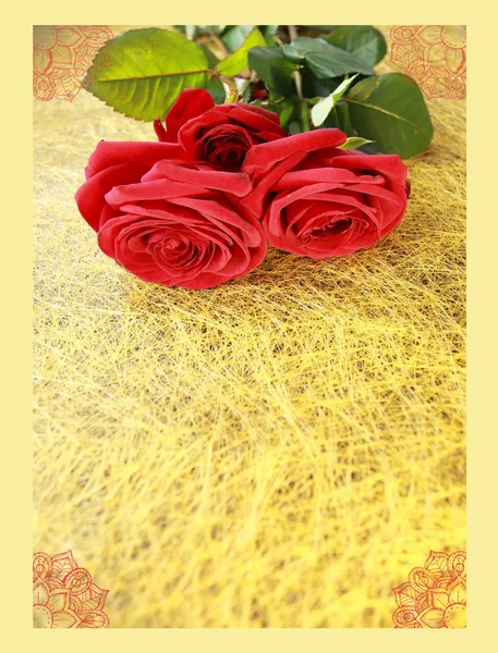 Red Roses Blue Background Postcard — Stock Photo, Image