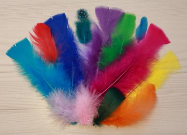 dekorasyon için güzel tüyleri