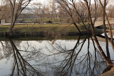 Şehir Parkı Gölü ile