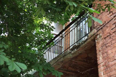 eski ev Retro, bağbozumu