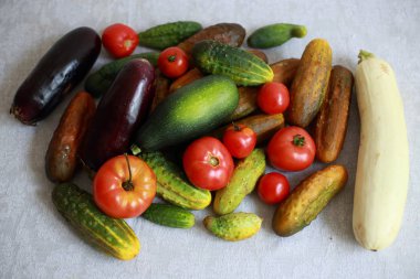 sebzeler taze, bahçenizden lezzetli