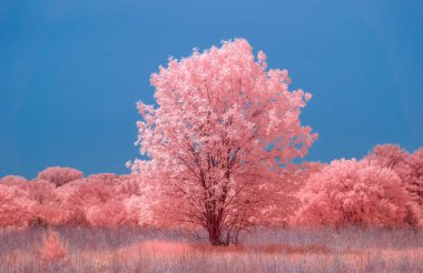 Color infrared image of a singlewith prairie and forest in rural United States. clipart
