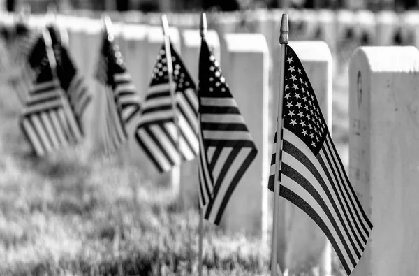 Siyah Beyaz Görüntü Amerikan Bayrakları Ulusal Mezarlığı Seçici Odak Mezar — Stok fotoğraf