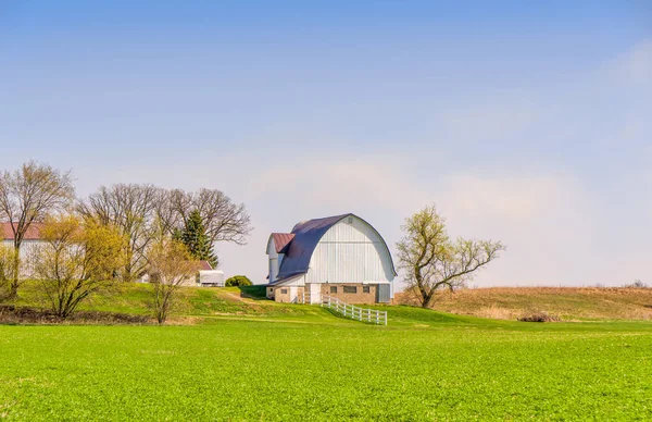Fienile Bianco Pascolo Verde Fattoria Nel Wisconsin Occidentale Rurale Primavera — Foto Stock