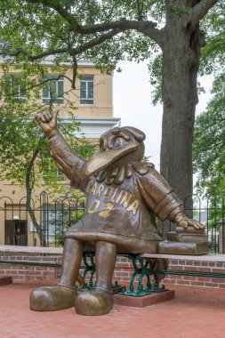 Columbia, Sc/ABD 5 Haziran 2018: Kendini beğenmiş dövüş horozu maskot heykel University of South Carolina kampüsünde.