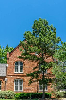 Tuscaloosa, Al/ABD - 6 Haziran 2018: Oliver Barnard Hall, Alabama Üniversitesi kampüsünde.