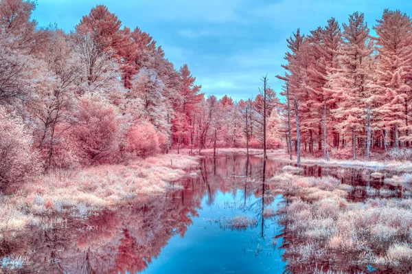 Cores Vibrantes Outono Infravermelho Sazonal Água Perto Cumberland Wisconsin Eua — Fotografia de Stock