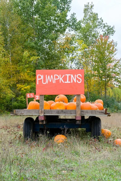Hallloween 近く秋に農村部のアメリカ合衆国でかぼちゃのカート — ストック写真