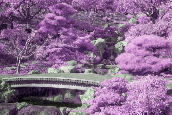 静かな庭園 赤外線色の橋 — ストック写真
